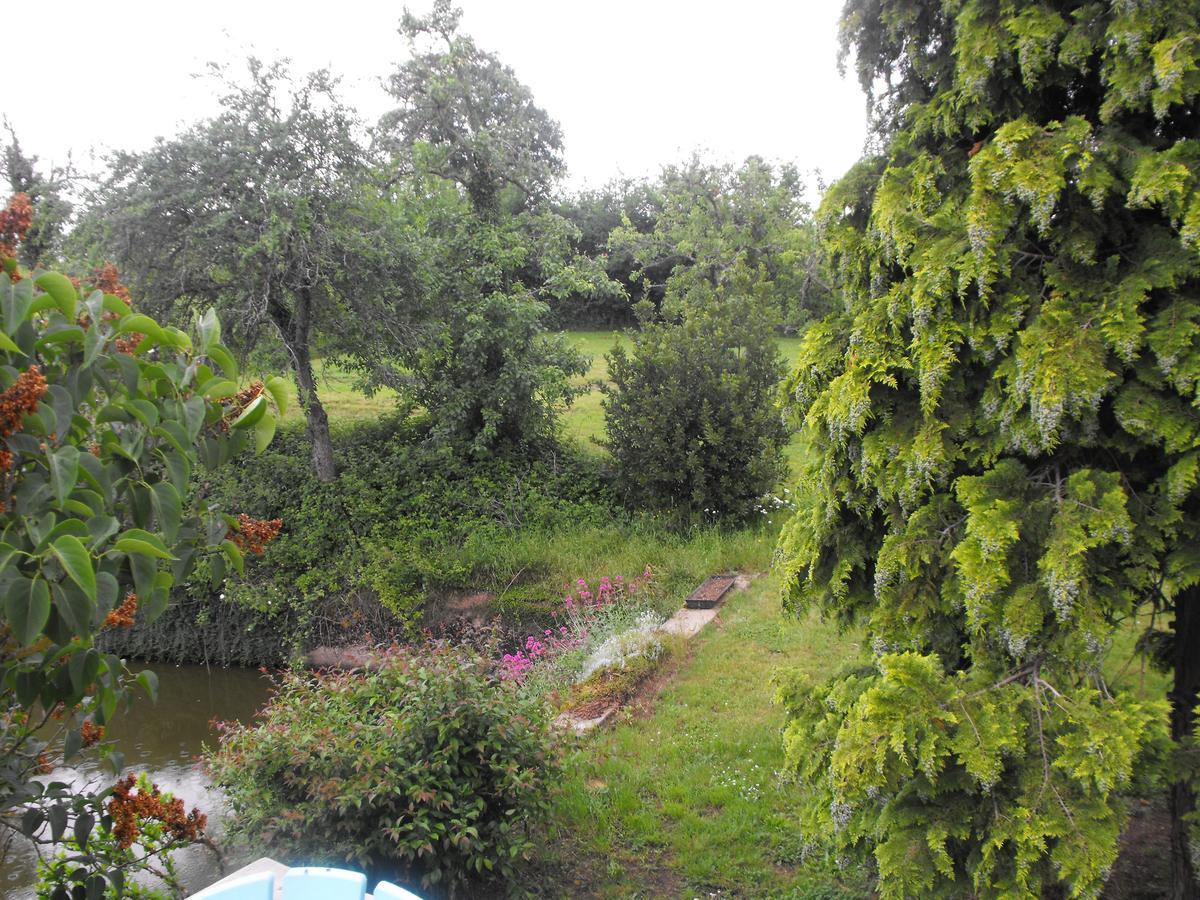 Domaine De La Madeleine Bed and Breakfast Ygrande Buitenkant foto